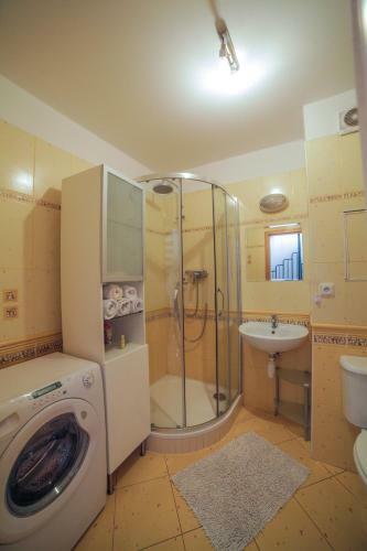 Apartman Holeckova