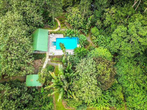 Hostal Tropical Paradise Bungalows