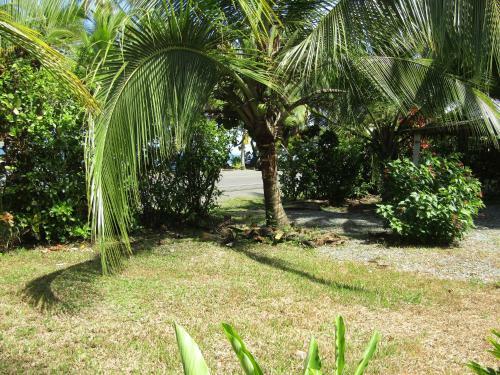 Pineapple House Manzanillo