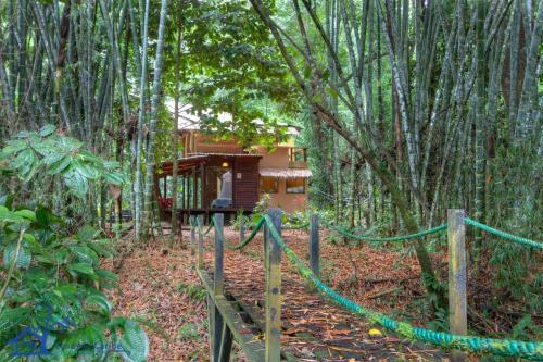 Casa Auratus Exotic Jungle House