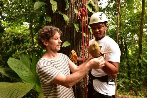 Lodge Nature Observatorio Treehouse Tours Manzanillo