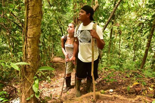 Lodge Nature Observatorio Treehouse Tours Manzanillo