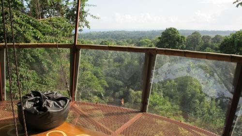 Lodge Nature Observatorio Treehouse Tours Manzanillo