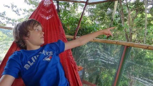 Lodge Nature Observatorio Treehouse Tours Manzanillo