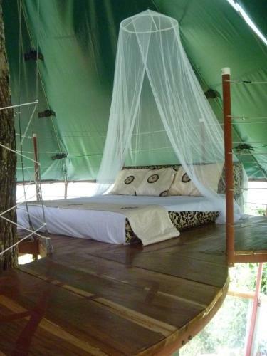 Lodge Nature Observatorio Treehouse Tours Manzanillo