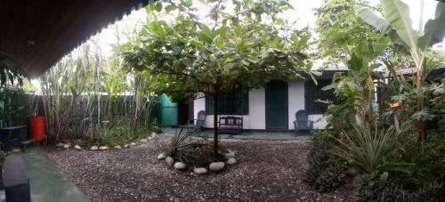 Hostal Osa Surf Hostel