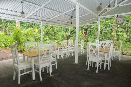 Hotel Jaguar Inn Bungalows & Hostel