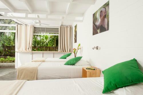 Hotel Jaguar Inn Bungalows & Hostel