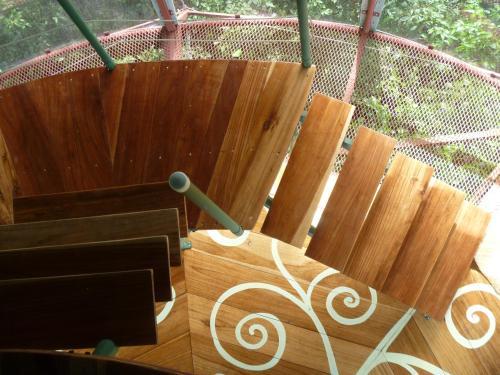 Lodge Nature Observatorio Treehouse Tours Puerto Viejo