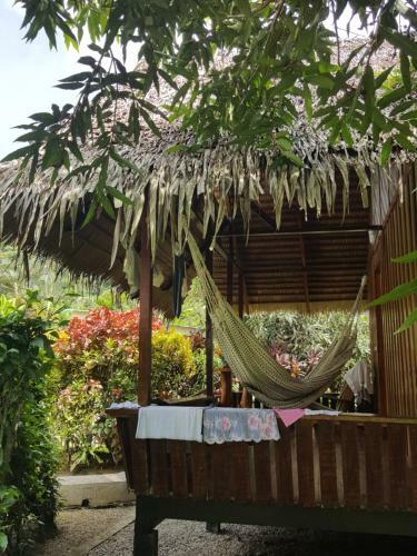 Hotel Coco Loco Lodge