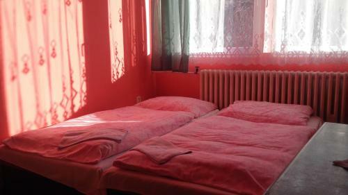 Hotel Sneznik