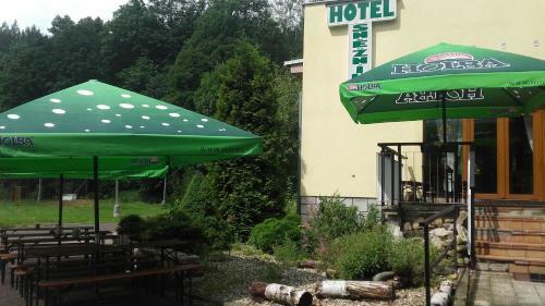 Hotel Sneznik
