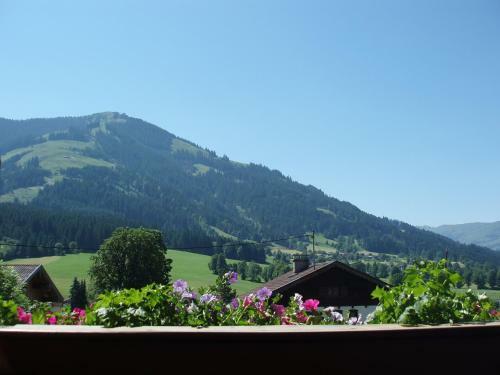 Apartamento Appartement Annemarie