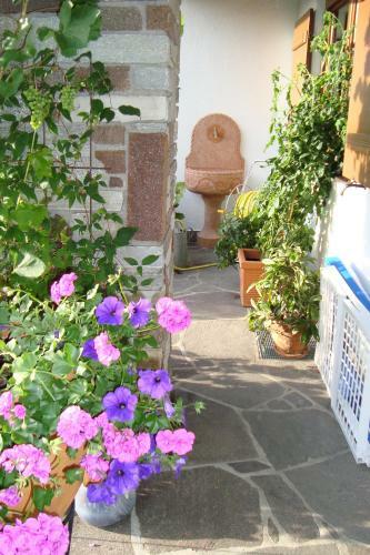 Apartamento Landhaus Bachler