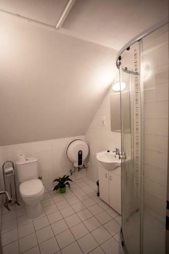 Hostal Penzion Star Doksy