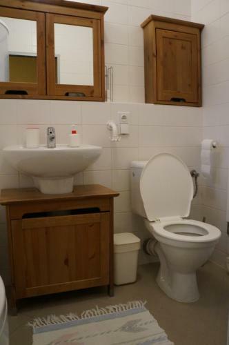 Apartm�n Harrachov 608