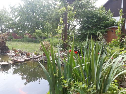 Hostal Pension Zelen� Strom