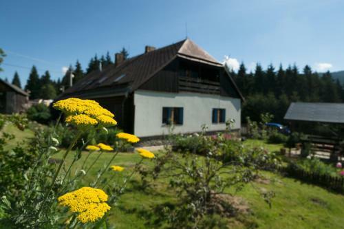 Apartment Kopani?�kov�
