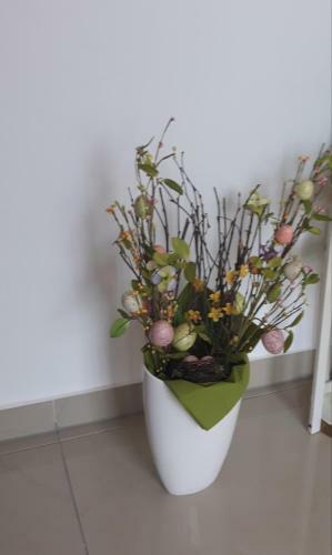 Bed & Breakfast Hotel Luca