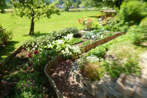 Apartamento Appartements Oberhof