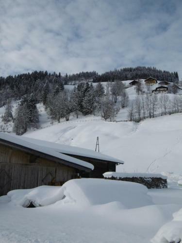 Apartamento Appartements Oberhof