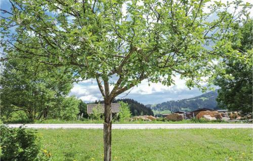 Apartment Moard�rfl V