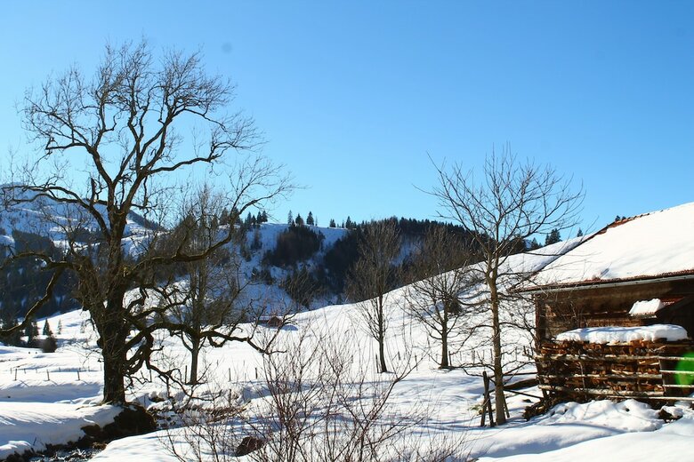 Bed & Breakfast Almhostel