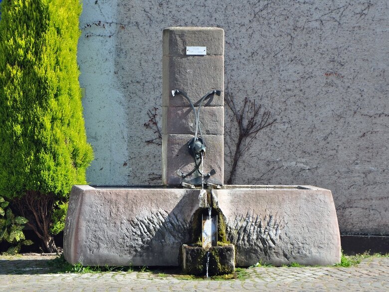 Hostal Hofgarten Rosa