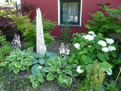 Apartamento Kunsthof Salsitz