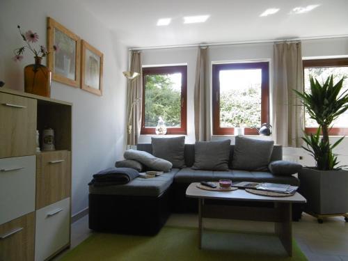 Apartamento Ferienwohnung Rennsteigblick