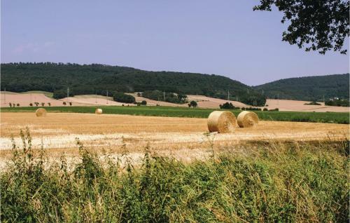 Studio Holiday Home In Rinteln
