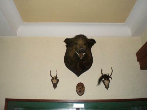 Hostal Gasthaus-pension Waldesruhe