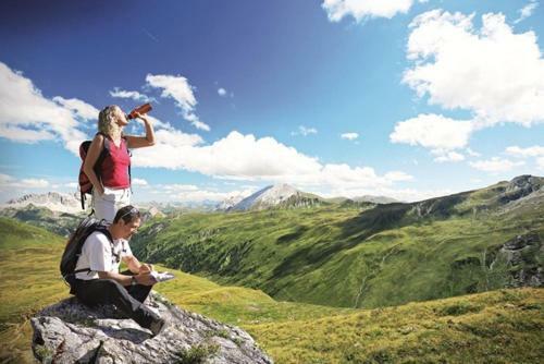 Hostal Pension Zum Wilden Hannes