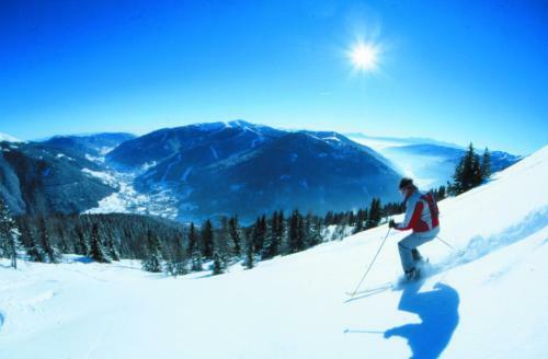 Skyloft Bergnest