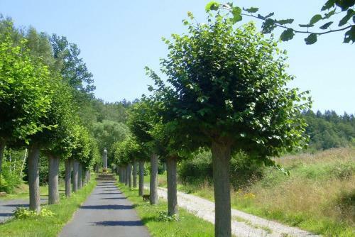 Ferienpark Wehrda Gmbh