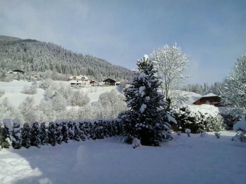 Hostal Appartement Pension Grasser