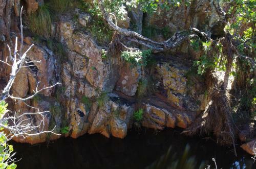 Lodge Bateleur Nature Reserve