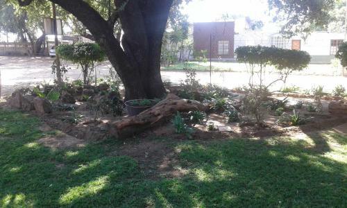 Bed & Breakfast Black Swan Guest House