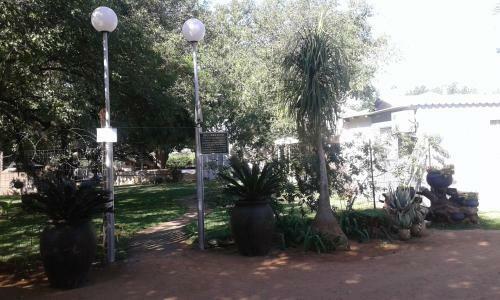 Bed & Breakfast Black Swan Guest House