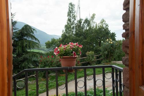 Apartamento Casa Rural Cal Bosch