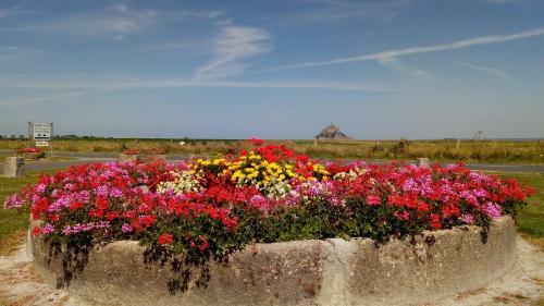 Bed & Breakfast Etoile Des Gr�ves