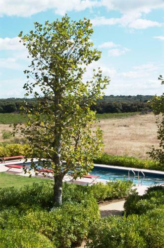 Village Castigno - Wine Hotel & Resort