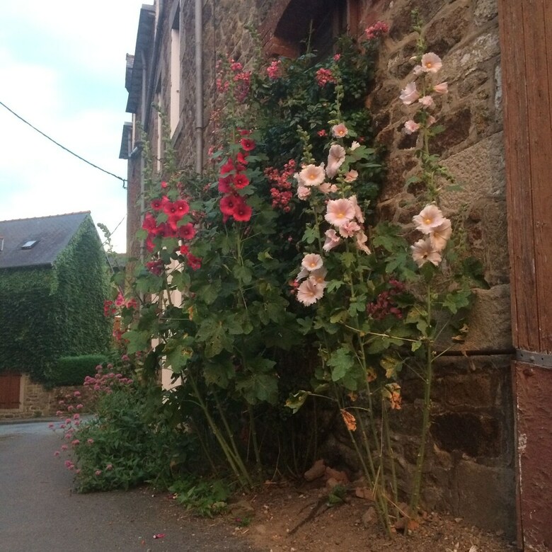 Bed & Breakfast Logis De La Filanderie