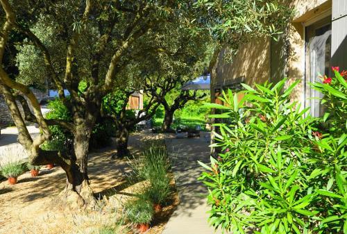 Bed & Breakfast Les Terrasses Du Luberon