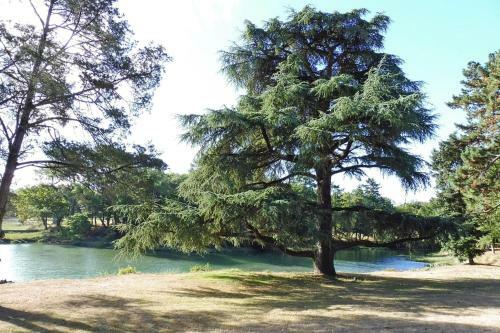 Holiday Home Carnac - Bre04347-f