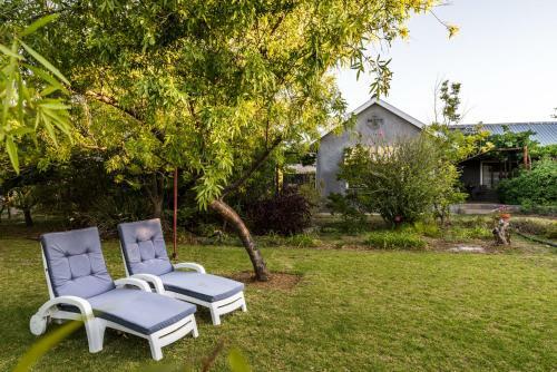 Bed & Breakfast Karoo Lodge