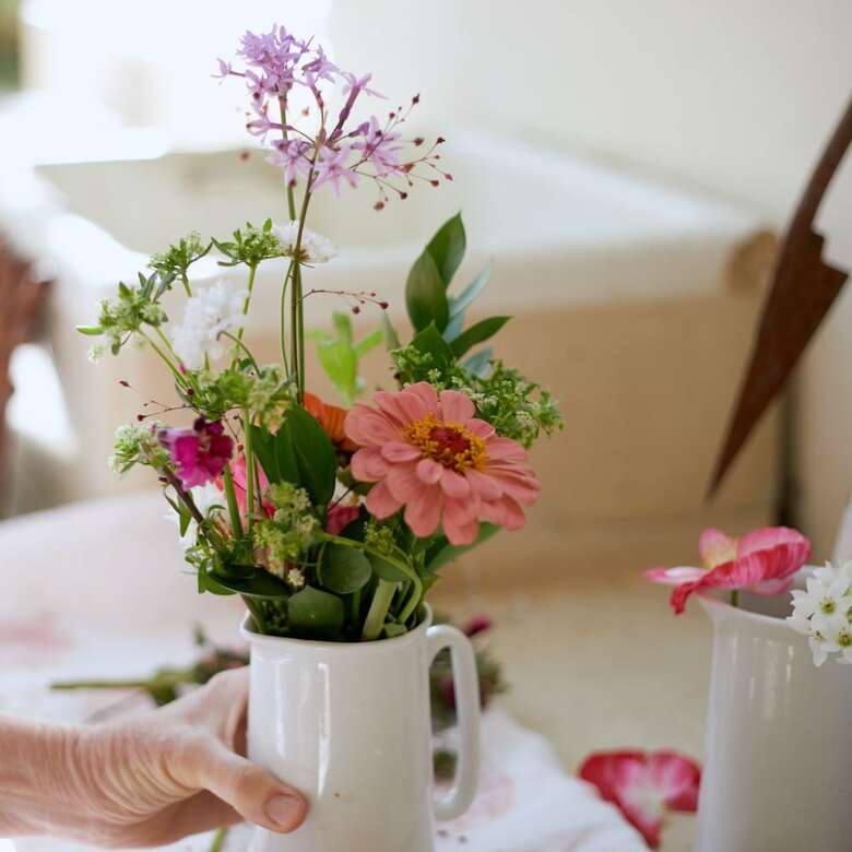 Hostal Prince Albert Country Stay