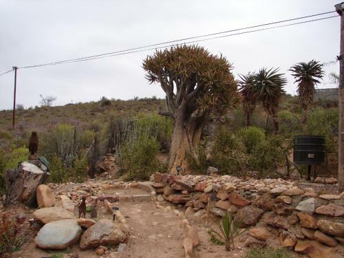 Hostal 365 On St Helena