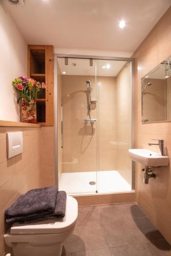 Mintaka Apartment - Chamonix