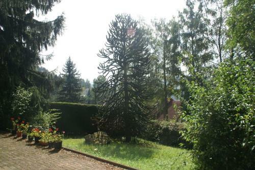 Chez Mamie G�teau